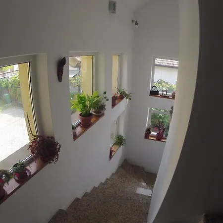 Abi Casa de hóspedes 3*